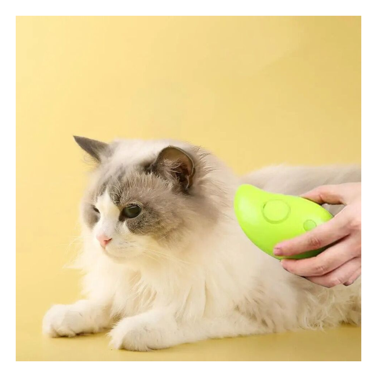 Cepillo a Vapor para Mascotas